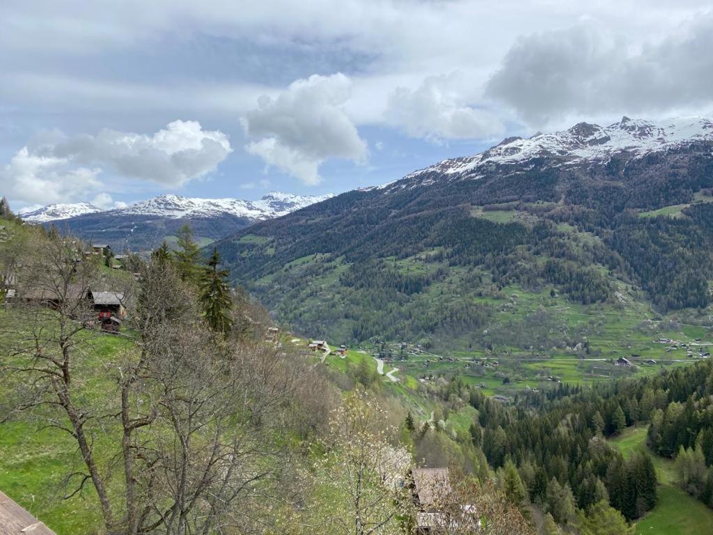 Residence Platane B Grimentz Kültér fotó